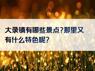 大录镇有哪些景点？那里又有什么特色呢？