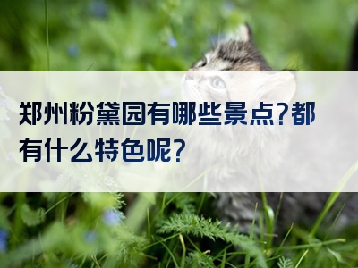 郑州粉黛园有哪些景点？都有什么特色呢？