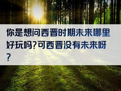 你是想问西晋时期未来哪里好玩吗？可西晋没有未来呀？