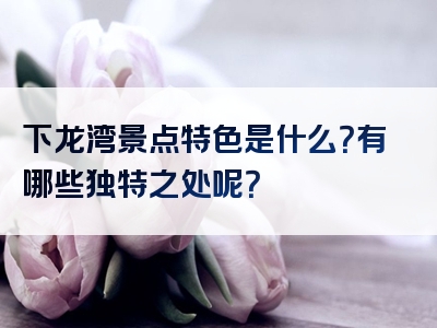 下龙湾景点特色是什么？有哪些独特之处呢？