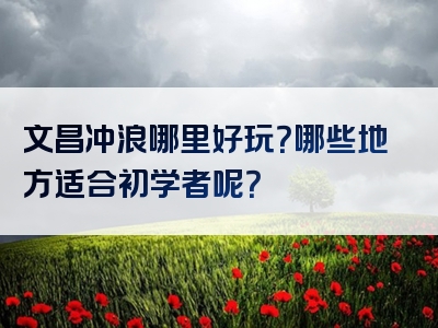 文昌冲浪哪里好玩？哪些地方适合初学者呢？