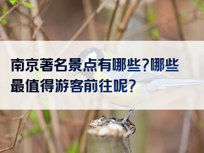 南京著名景点有哪些？哪些最值得游客前往呢？