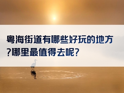 粤海街道有哪些好玩的地方？哪里最值得去呢？