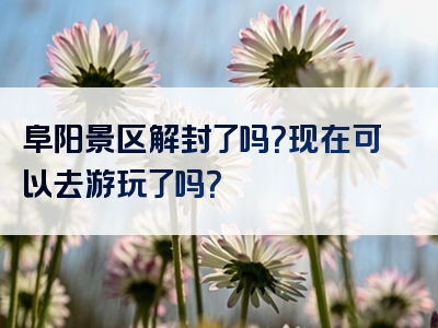 阜阳景区解封了吗？现在可以去游玩了吗？