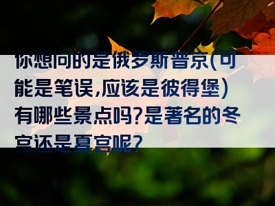 你想问的是俄罗斯普京（可能是笔误，应该是彼得堡）有哪些景点吗？是著名的冬宫还是夏宫呢？