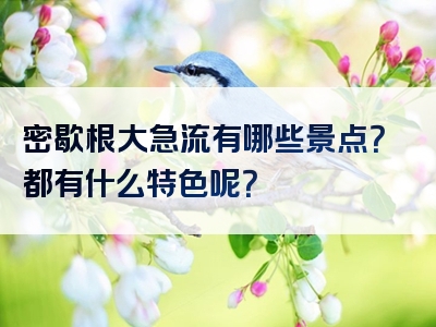 密歇根大急流有哪些景点？都有什么特色呢？