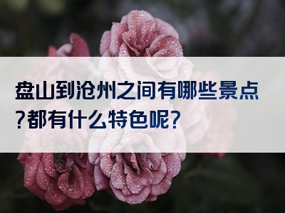 盘山到沧州之间有哪些景点？都有什么特色呢？