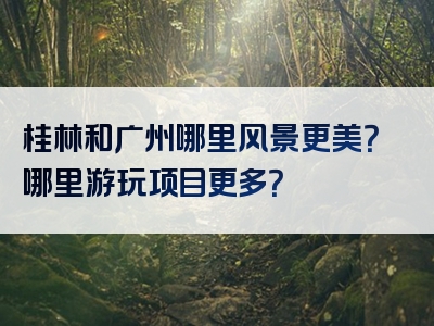 桂林和广州哪里风景更美？哪里游玩项目更多？