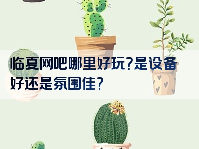 临夏网吧哪里好玩？是设备好还是氛围佳？