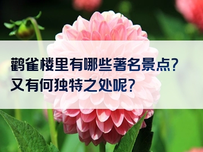 鹳雀楼里有哪些著名景点？又有何独特之处呢？