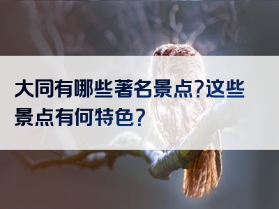 大同有哪些著名景点？这些景点有何特色？