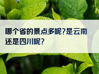 哪个省的景点多呢？是云南还是四川呢？