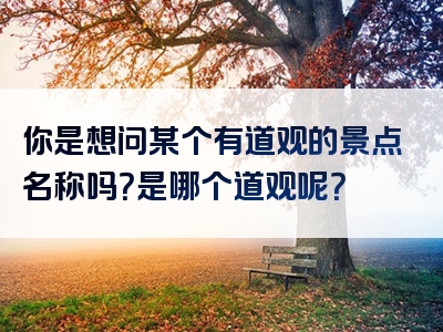 你是想问某个有道观的景点名称吗？是哪个道观呢？