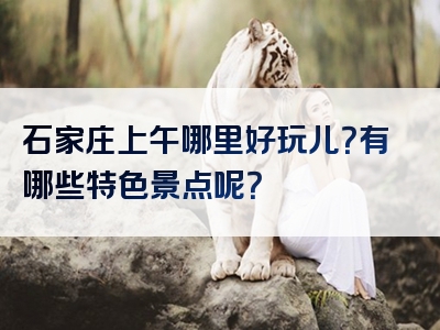 石家庄上午哪里好玩儿？有哪些特色景点呢？