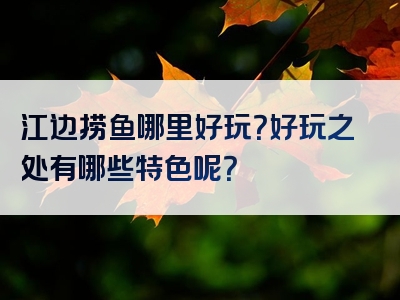 江边捞鱼哪里好玩？好玩之处有哪些特色呢？