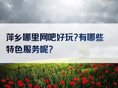 萍乡哪里网吧好玩？有哪些特色服务呢？