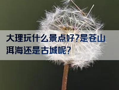 大理玩什么景点好？是苍山洱海还是古城呢？