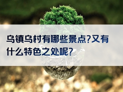 乌镇乌村有哪些景点？又有什么特色之处呢？