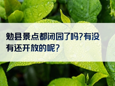 勉县景点都闭园了吗？有没有还开放的呢？