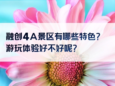 融创4A景区有哪些特色？游玩体验好不好呢？