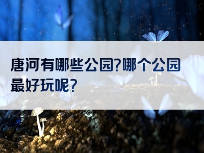 唐河有哪些公园？哪个公园最好玩呢？