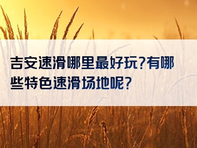 吉安速滑哪里最好玩？有哪些特色速滑场地呢？