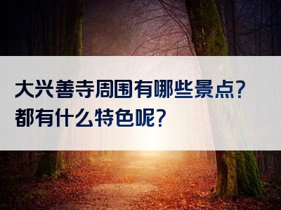 大兴善寺周围有哪些景点？都有什么特色呢？