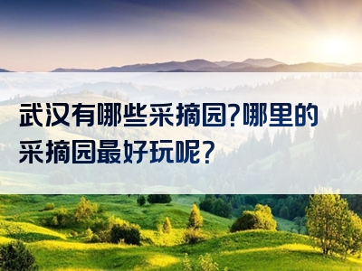 武汉有哪些采摘园？哪里的采摘园最好玩呢？