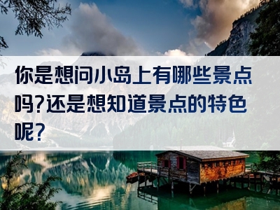 你是想问小岛上有哪些景点吗？还是想知道景点的特色呢？