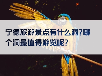 宁德旅游景点有什么洞？哪个洞最值得游览呢？