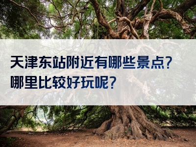 天津东站附近有哪些景点？哪里比较好玩呢？