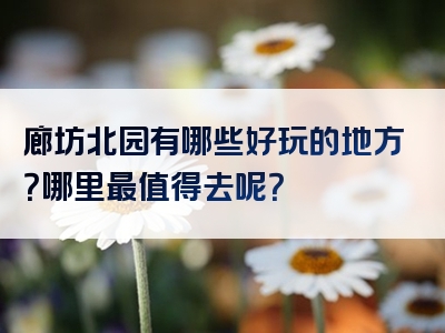 廊坊北园有哪些好玩的地方？哪里最值得去呢？