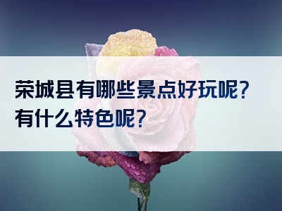 荣城县有哪些景点好玩呢？有什么特色呢？