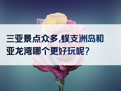 三亚景点众多，蜈支洲岛和亚龙湾哪个更好玩呢？