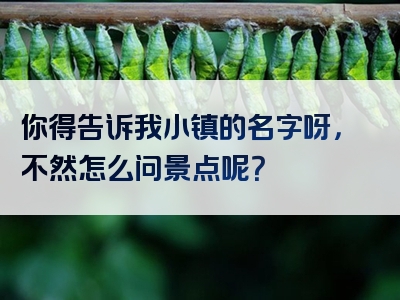 你得告诉我小镇的名字呀，不然怎么问景点呢？