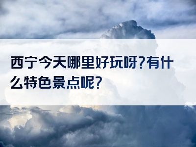 西宁今天哪里好玩呀？有什么特色景点呢？